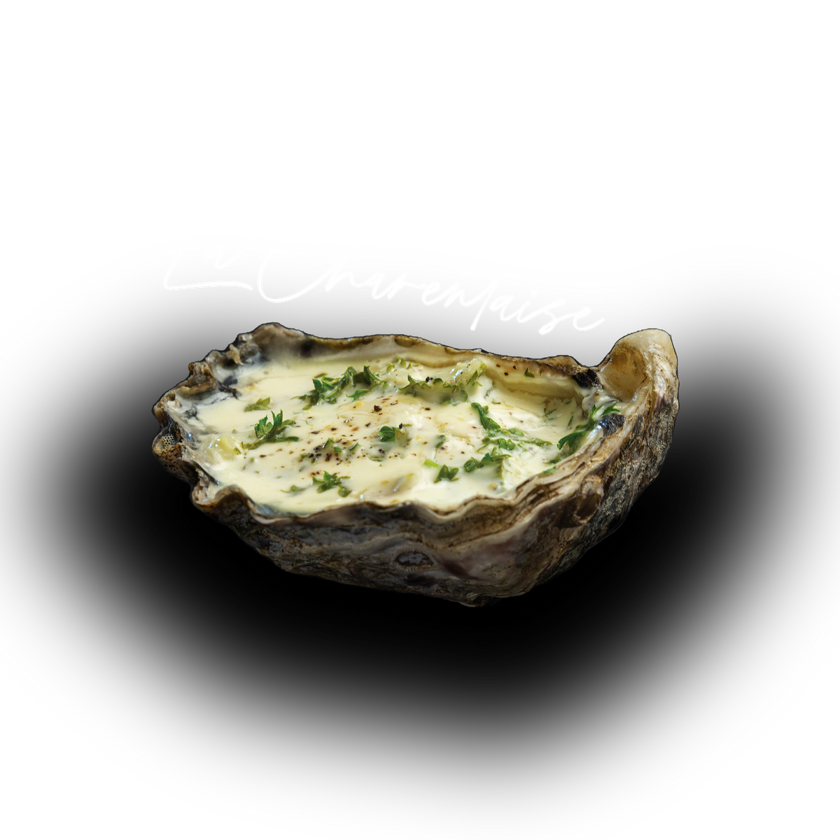 A raw oyster shell filled with creamy sauce and garnished with chopped green herbs, isolated on a solid white background.