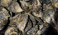 Live (closed) Sydney Rock Oysters - Per Dozen